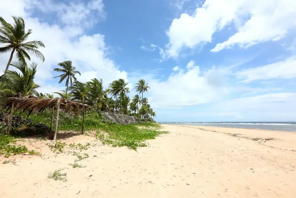 Praia de Algodões - Península de Maraú