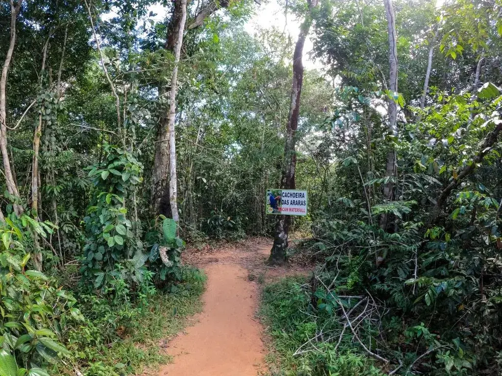 Cachoeira das Araras: Um Refúgio Natural em Presidente Figueiredo, Amazonas