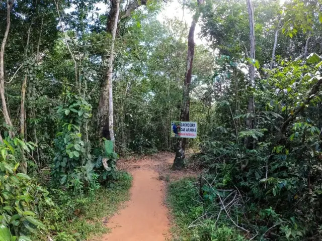 Cachoeira das Araras: Um Refúgio Natural em Presidente Figueiredo, Amazonas