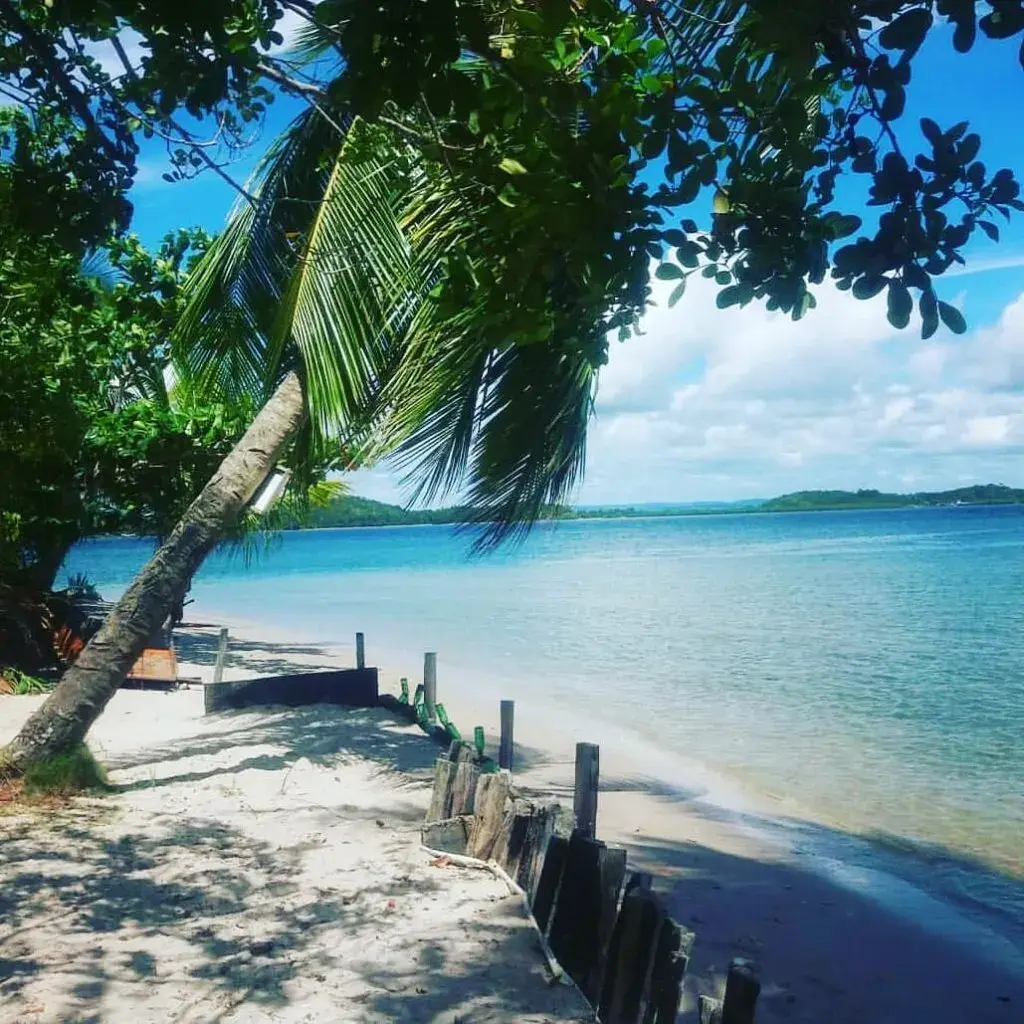 Ilha do Goio: Um Refúgio Paradisíaco no Sul da Bahia