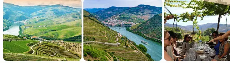 Vale do Douro