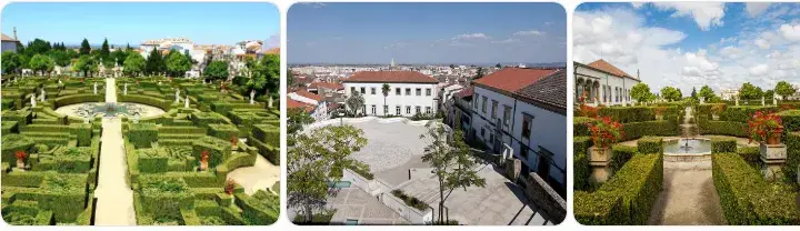 Castelo Branco