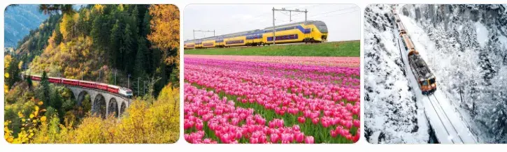Cada estação oferece experiências diferentes