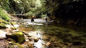 Parque Estadual Turístico do Alto Ribeira (PETAR), localizado a cerca de 320 km da capital de São Paulo