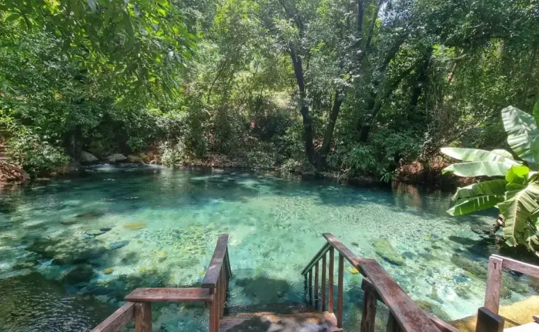 Aurora do Tocantins: Um Tesouro de Águas Cristalinas