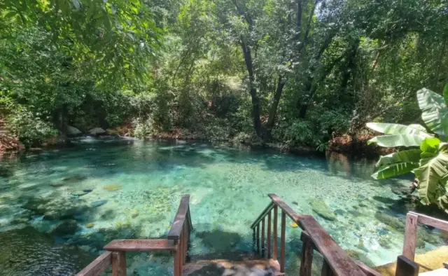 Aurora do Tocantins: Um Tesouro de Águas Cristalinas