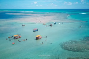 Praia do Patacho: O Paraíso Escondido de Alagoas