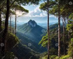 Serra do Mar: Um Paraíso para Amantes da Natureza