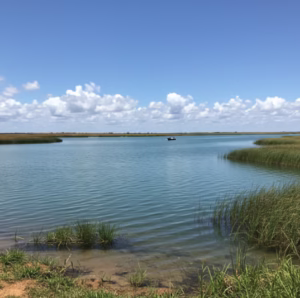 Lagoa dos Patos