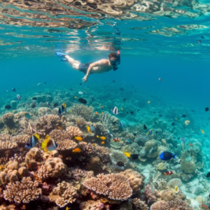 Snorkel