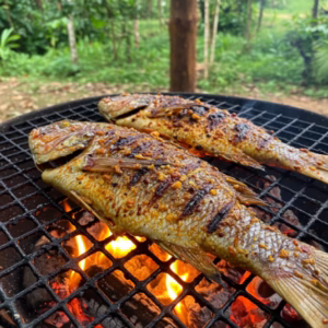Tucunaré na Brasa