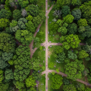 Parque da Cidadania
