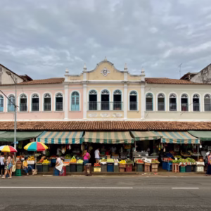 Mercado Municipal
