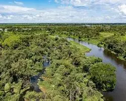 Imagem de Comunidade tradicional no Pantanal Alagoano