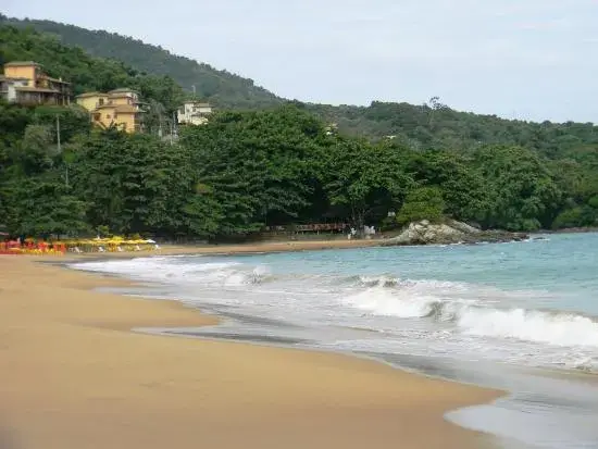 Praia do Curral – Foto de DPNY Beach Hotel & SPA, Ilhabela - Tripadvisor