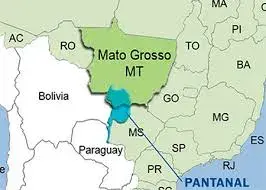 Pantanal: o que é, onde fica, clima e características - Significados