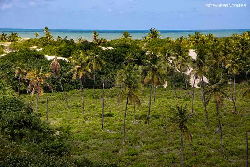 Mangue Seco: descubra as belezas desse cenário baiano