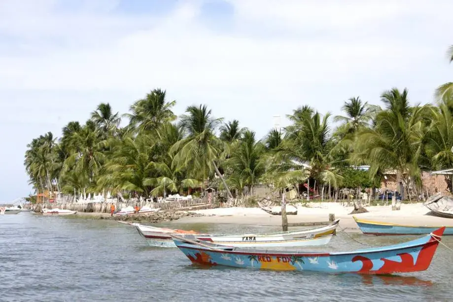 Mangue Seco: como chegar, hotéis, restaurantes, passeios e mais ...