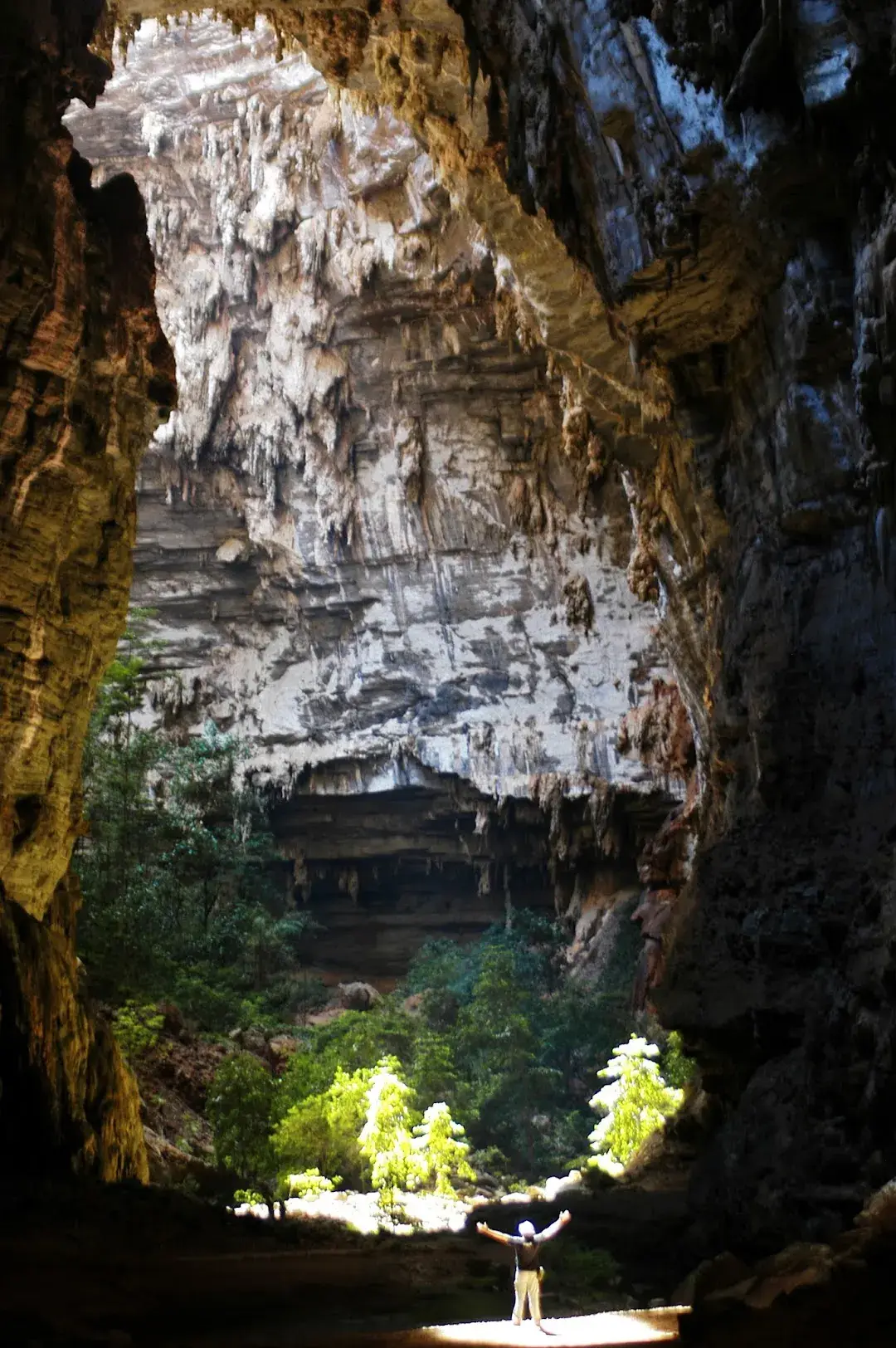 Parque Nacional Cavernas do Peruaçu: o que fazer, como chegar, onde ...