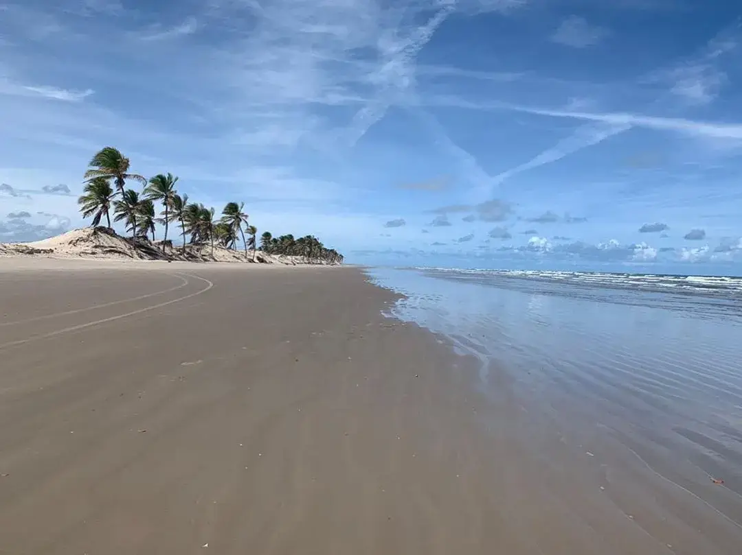 Passeio Mangue Seco - Na Bahia, Tem!