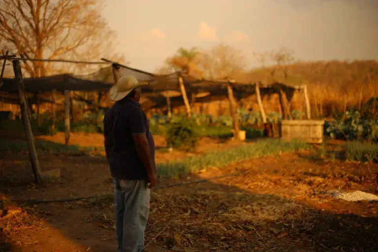 O Pantanal camponês ameaçado pelo agronegócio - Outras Palavras