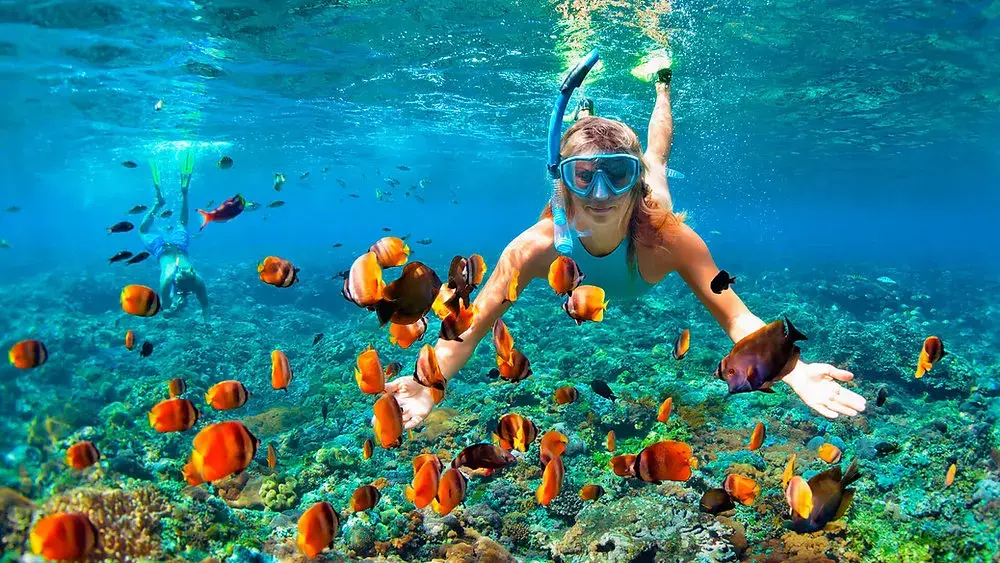 4 Razões para visitar FERNANDO DE NORONHA