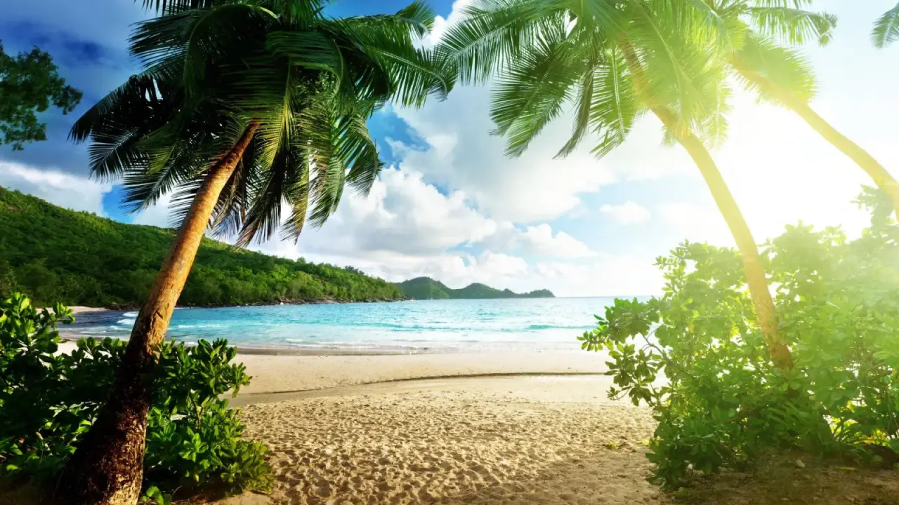 /uploads/articles/2026/06/edec79d929396cbd.webp