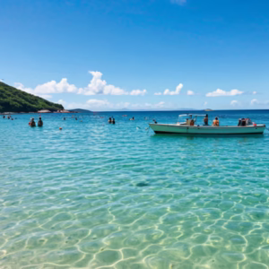 Curiosidades sobre a Ilha dos Marinheiros
