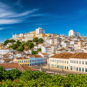 salvador centro