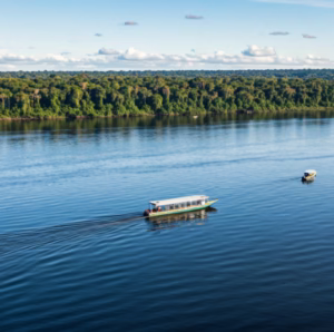 O Guia Completo de Passeios Incríveis na Floresta Amazônica