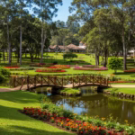 Parque Knorr