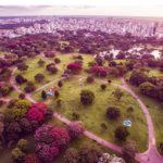 Parque Barigui