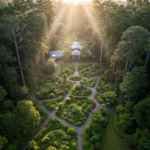 Jardim Botânico Adolpho Ducke