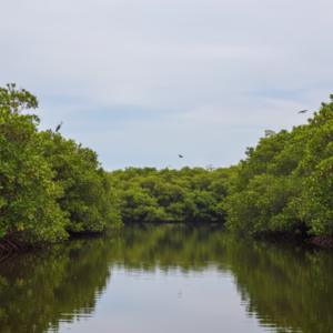 Lagoa de Arembepe