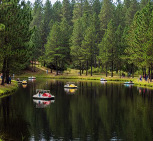 Lago Negro