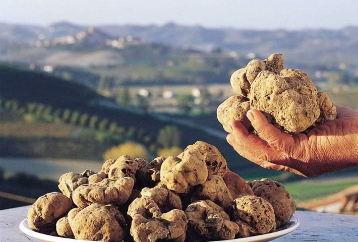 O Ouro Branco da Culinária
